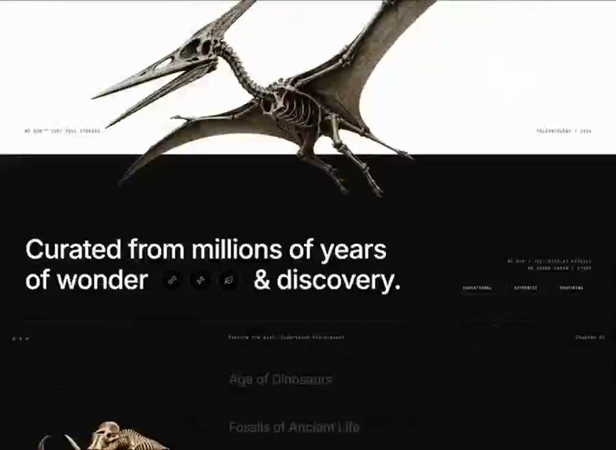 Neo Museum