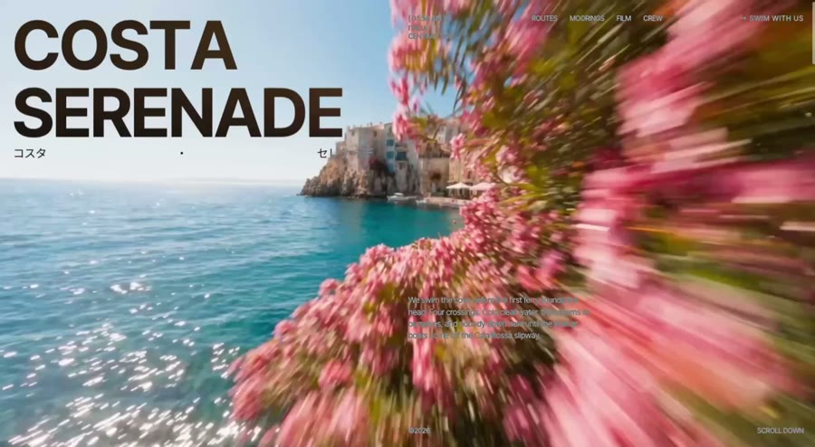 Sea Serenade