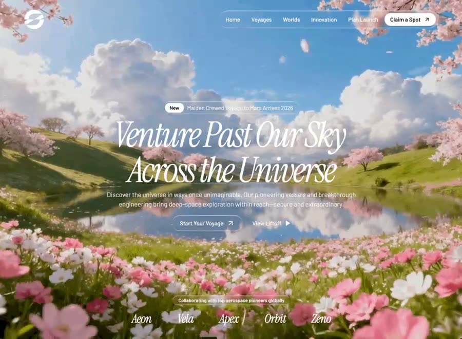 Space Voyage