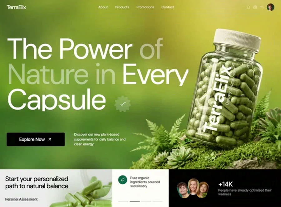 Wellness Balance